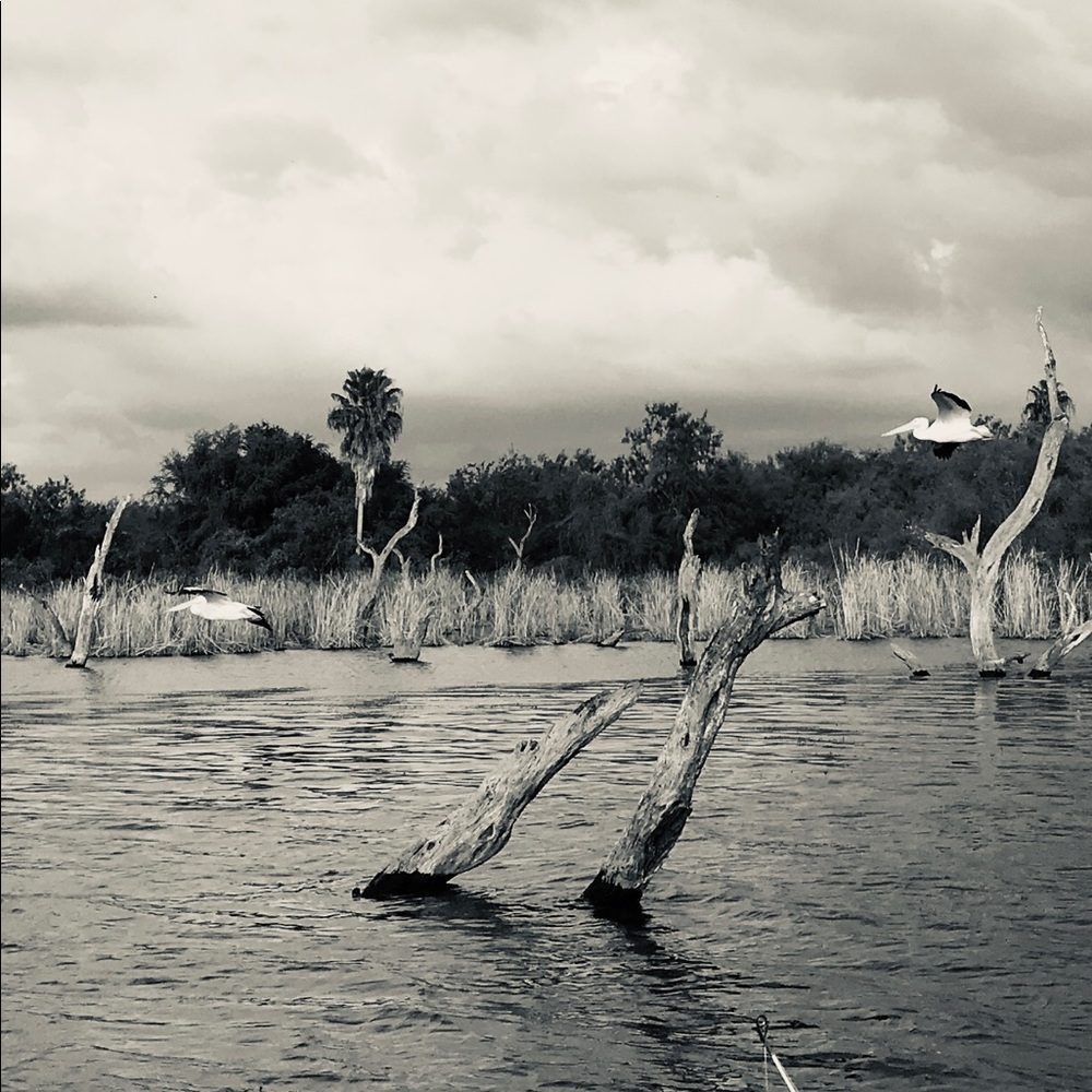 Meet your Posher, Julissa